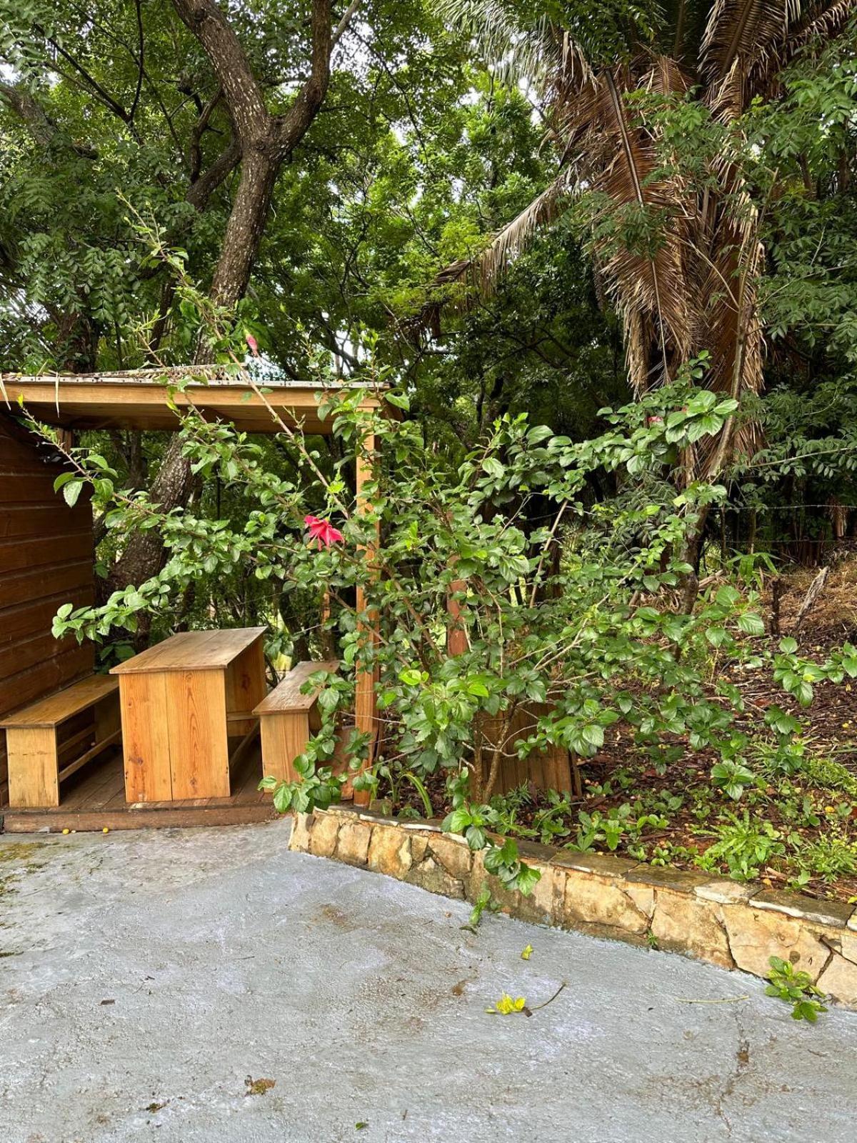 Roatan Bed & Breakfast Apartments West End Ngoại thất bức ảnh