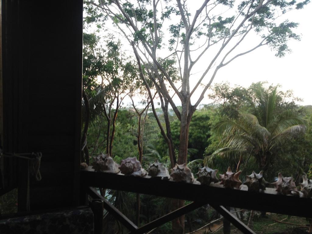 Roatan Bed & Breakfast Apartments West End Ngoại thất bức ảnh