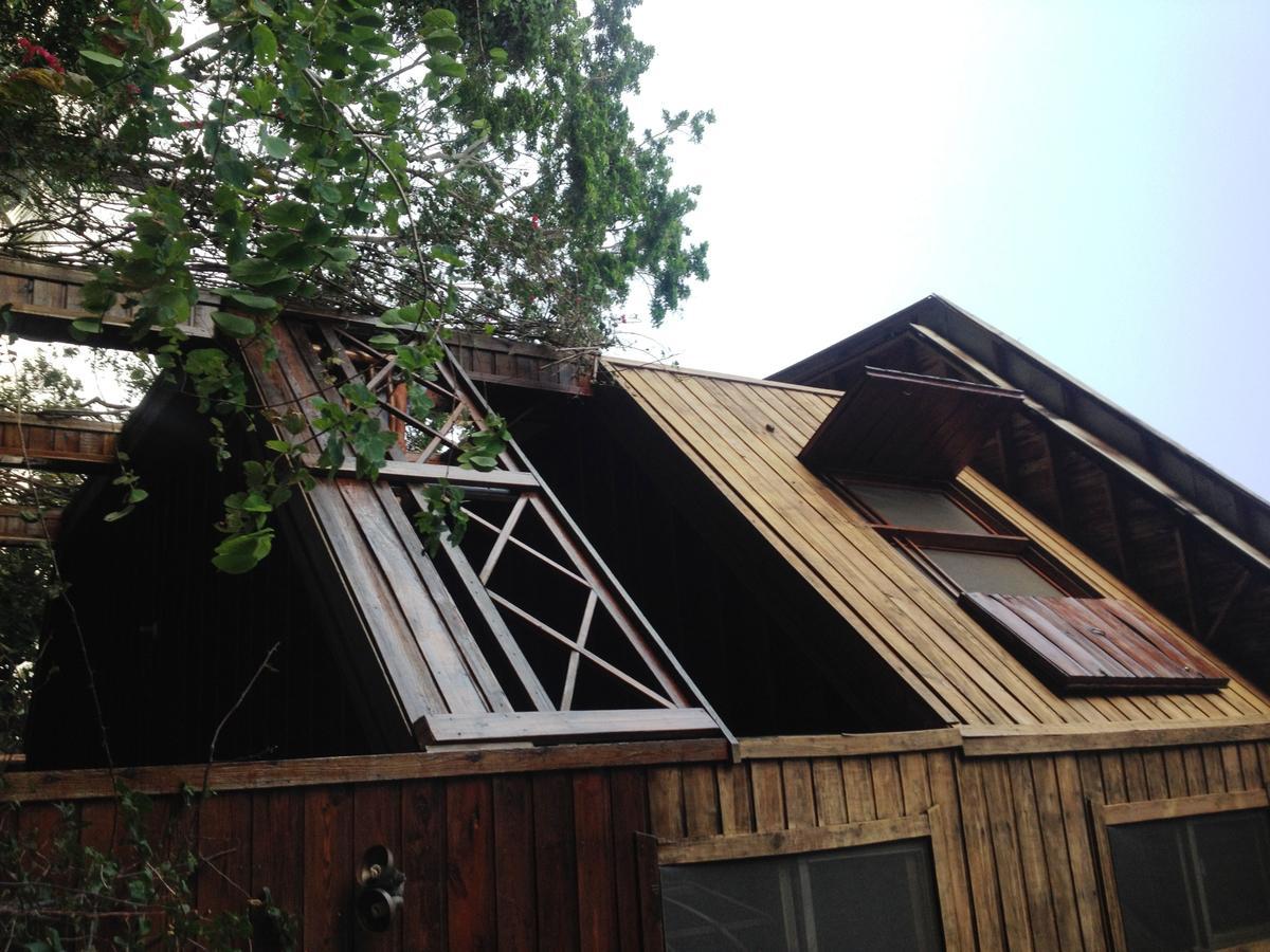 Roatan Bed & Breakfast Apartments West End Ngoại thất bức ảnh